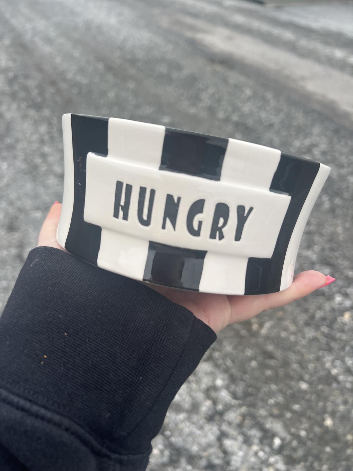 Dog Food & Water Bowls